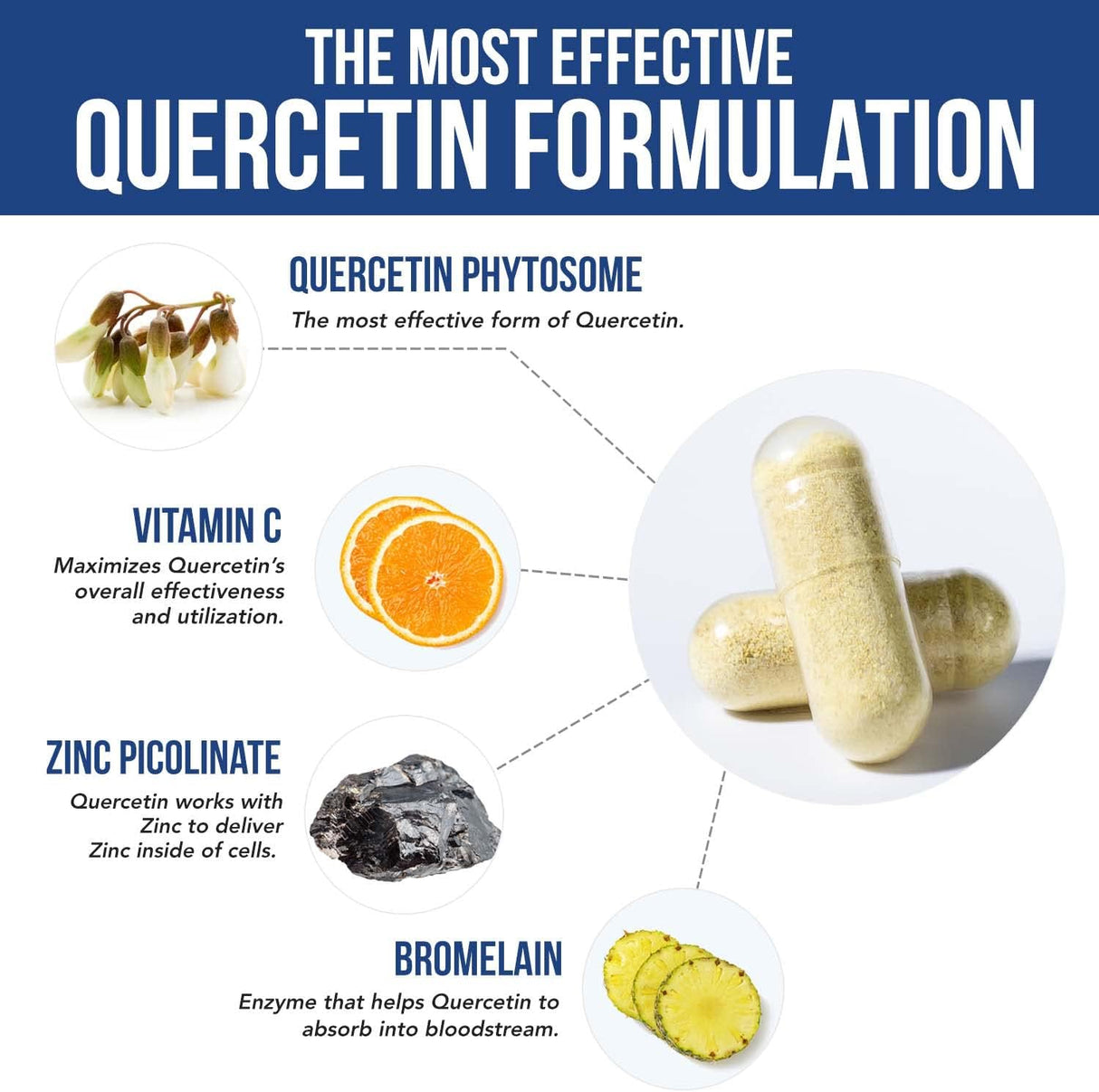 Quercetina Fitosoma de Absorción con Bromelina Zinc y Vit C