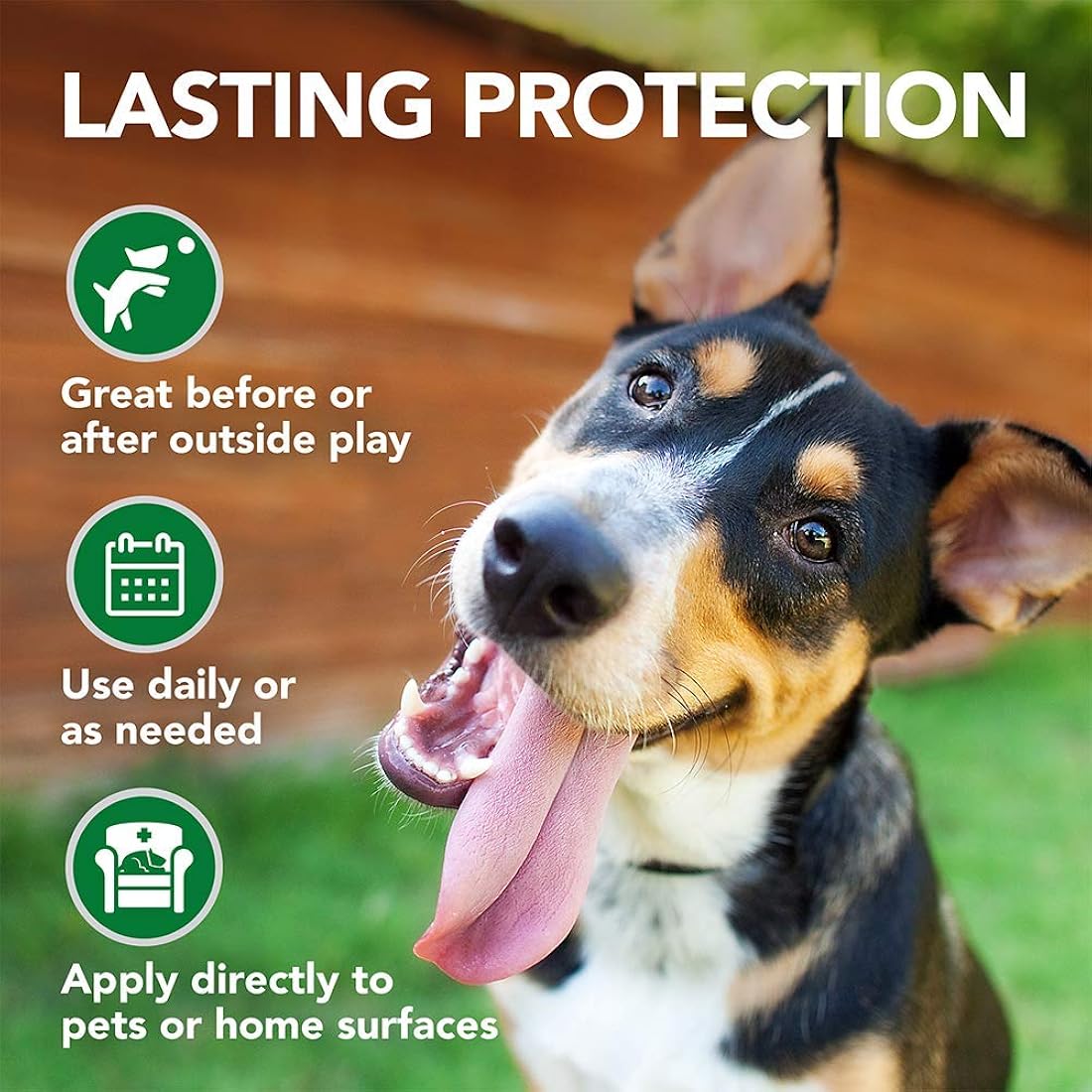 Toallitas naturales de pulgas y garrapatas para gatos