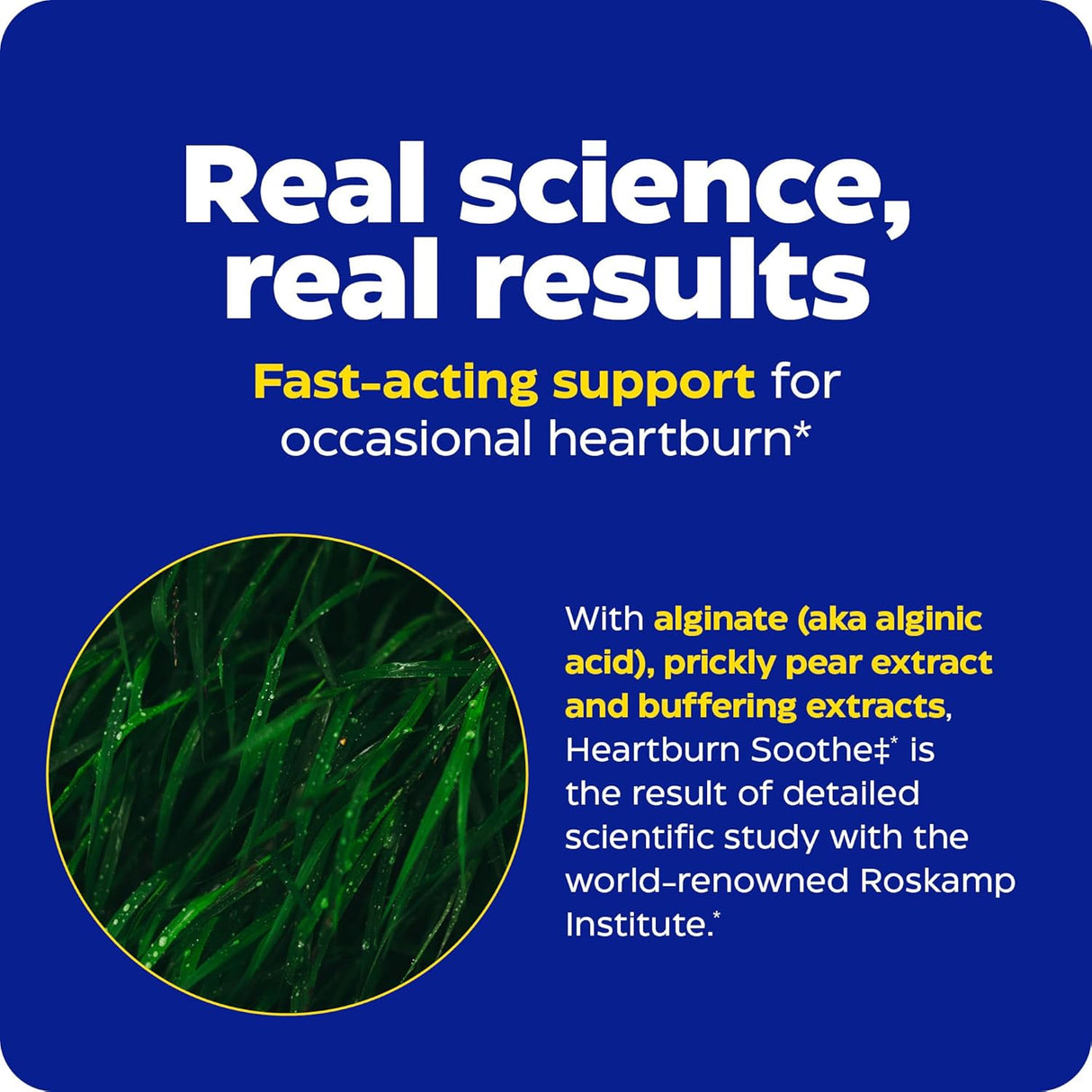 Suplemento Enzymedica - Alivio de ardores de corazón