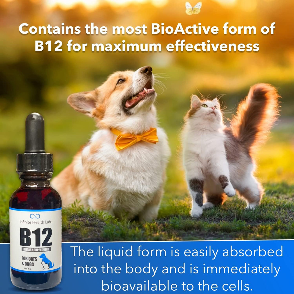 Vitaminas B-12 líquida para perros aumenta la energía