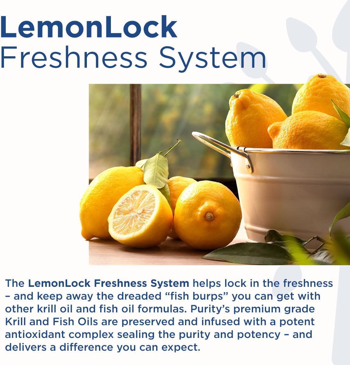 Omega 3-6-9 Vegano Purity Products - Ácidos Grasos Esenciales (60)