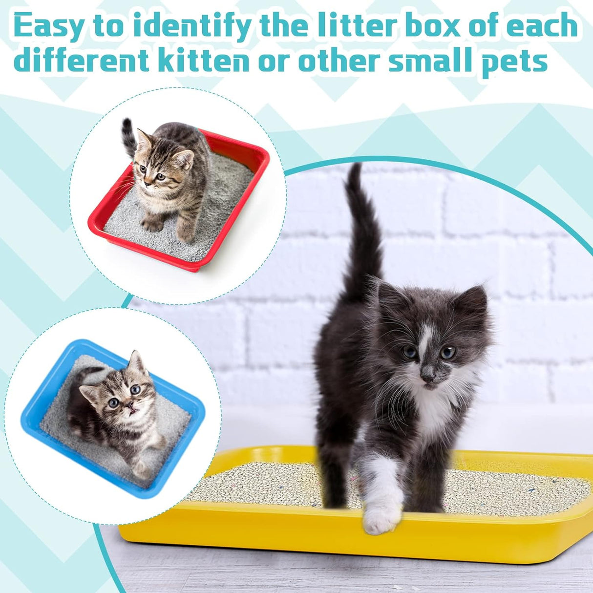 3 Cajas de arena para gatos Tessco multicolor