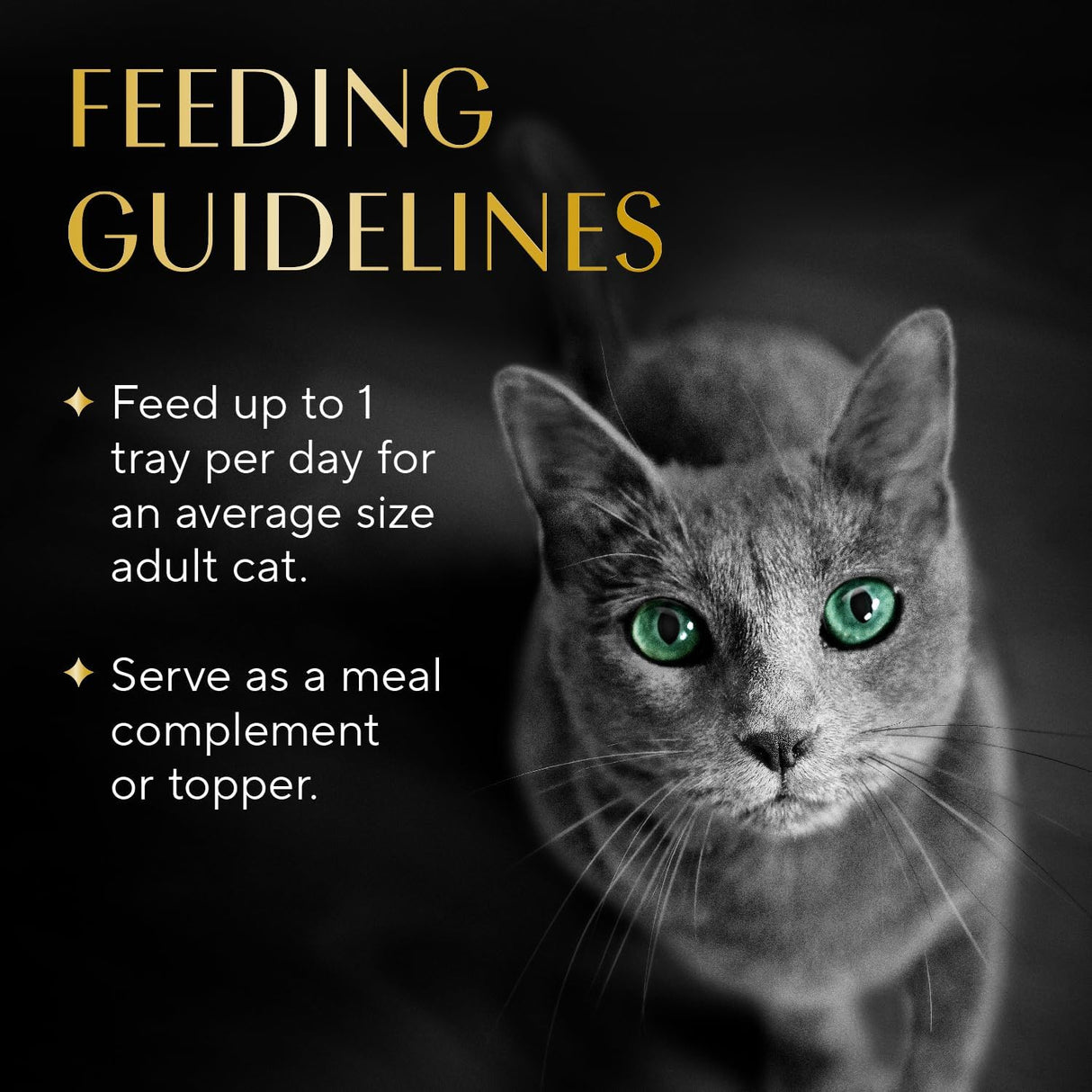 Comida Húmeda para Gatos Sheba Selecciones Pollo y Camarón 12 Cajas