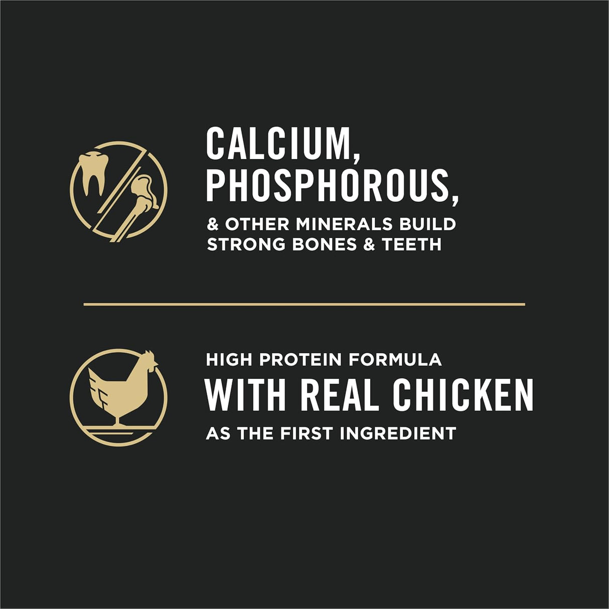 Alimento seco para gatos para gatitos fórmula de pollo