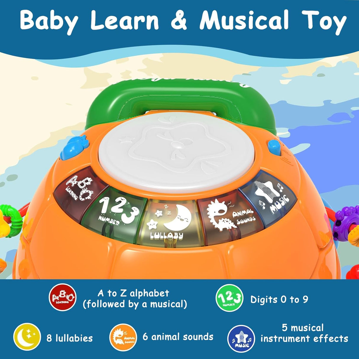 Juguete Musical Tortuga para Bebés - Ideal para 6-18 Meses