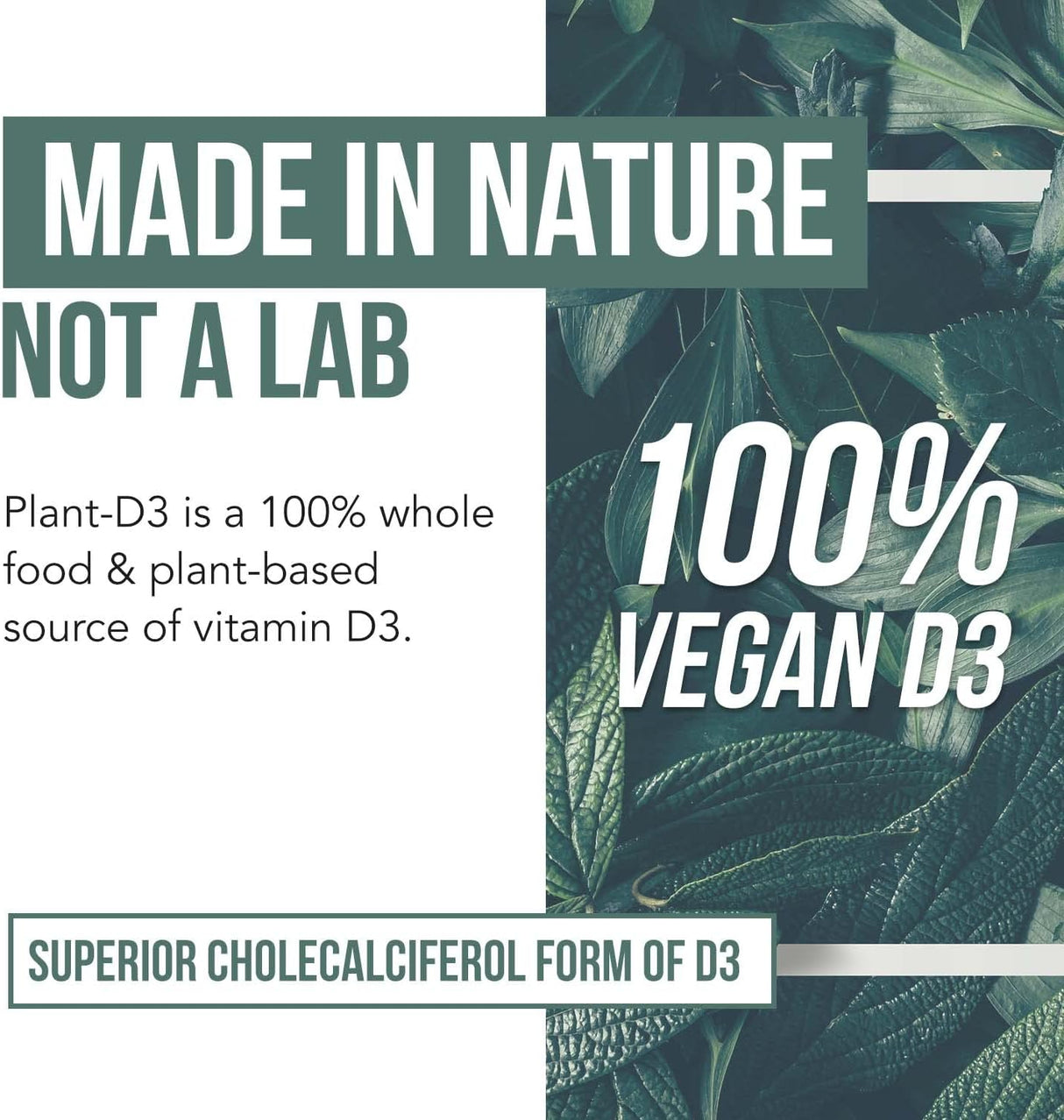 Vitamina D3 orgánica 5,000 UI con complejo prebiótico y superalimentos