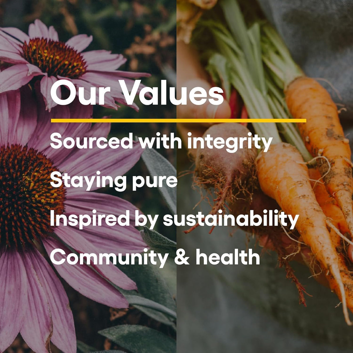 Vitamin C Masticable 500 mg, Natural Factors, 180 Wafers