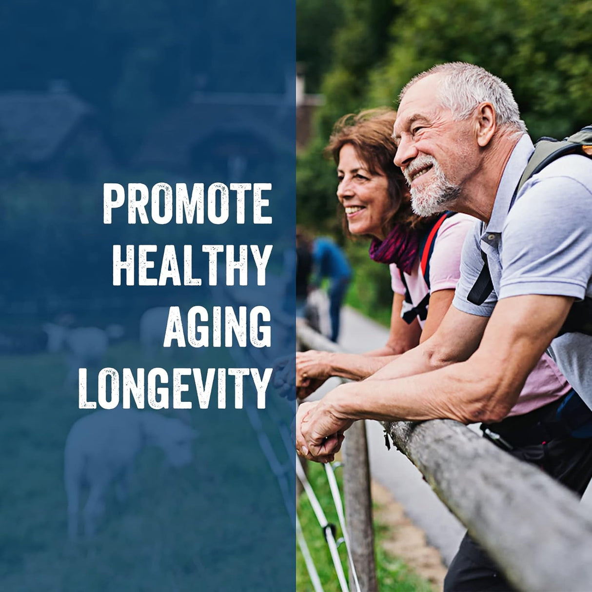 Suplemento de NAD eficiente para el metabolismo GIORANA