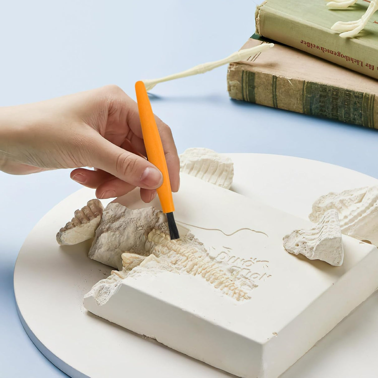 Kit de Excavación de Fosiles Dinosaurios ibasenice - 3 Piezas