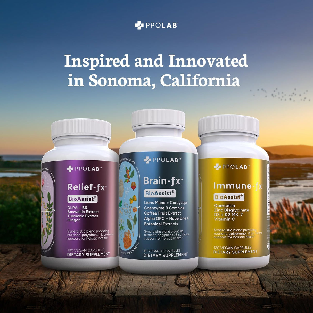 Soporte Cerebral Nootrópico, Memoria y Enfoque, Cápsulas Veganas