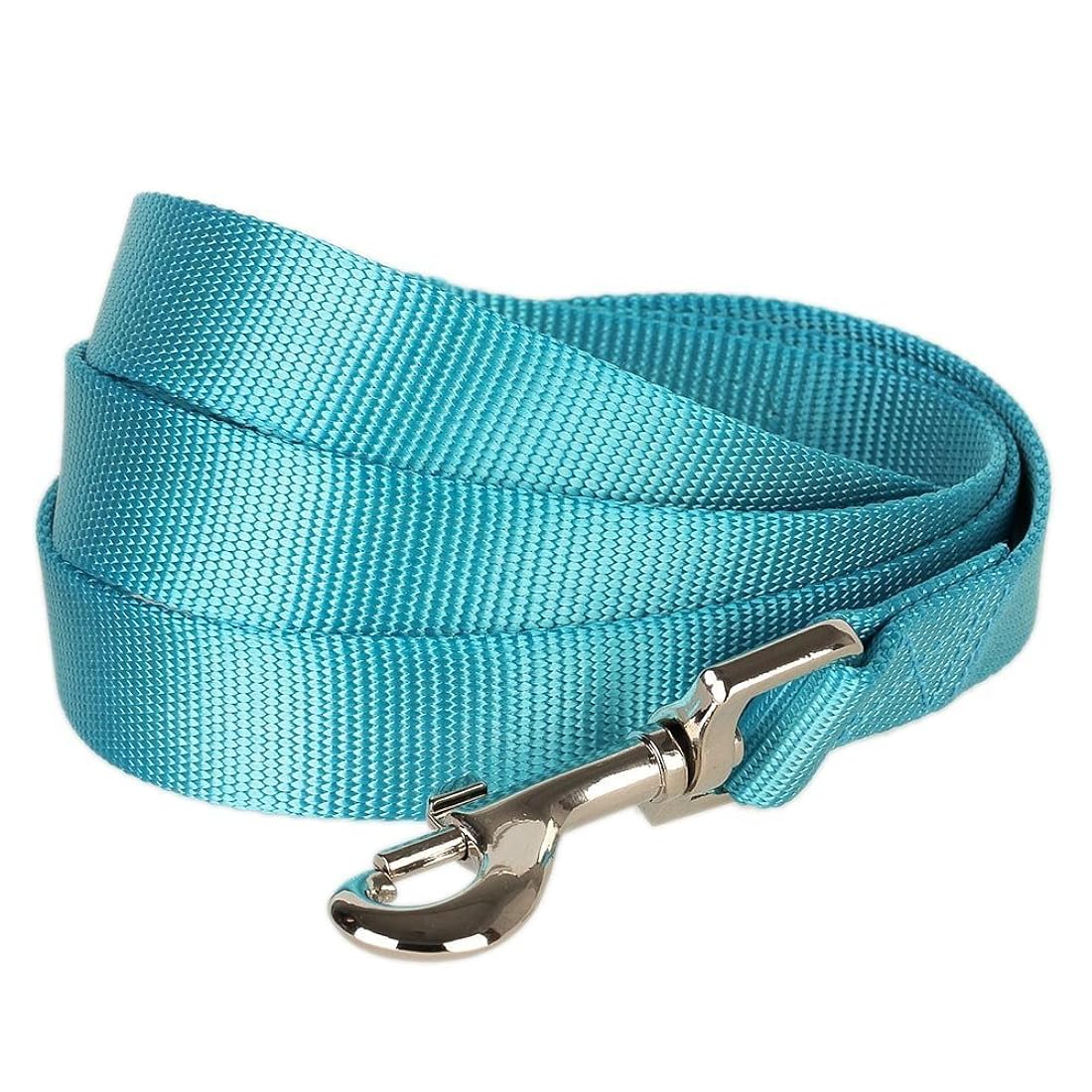 Correa clásica duradera para perros.