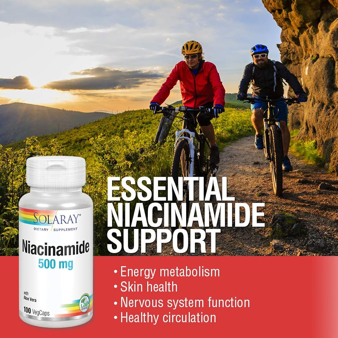 Suplemento Niacinamida 500 mg Vitamina B-3 Metabolismo 100un