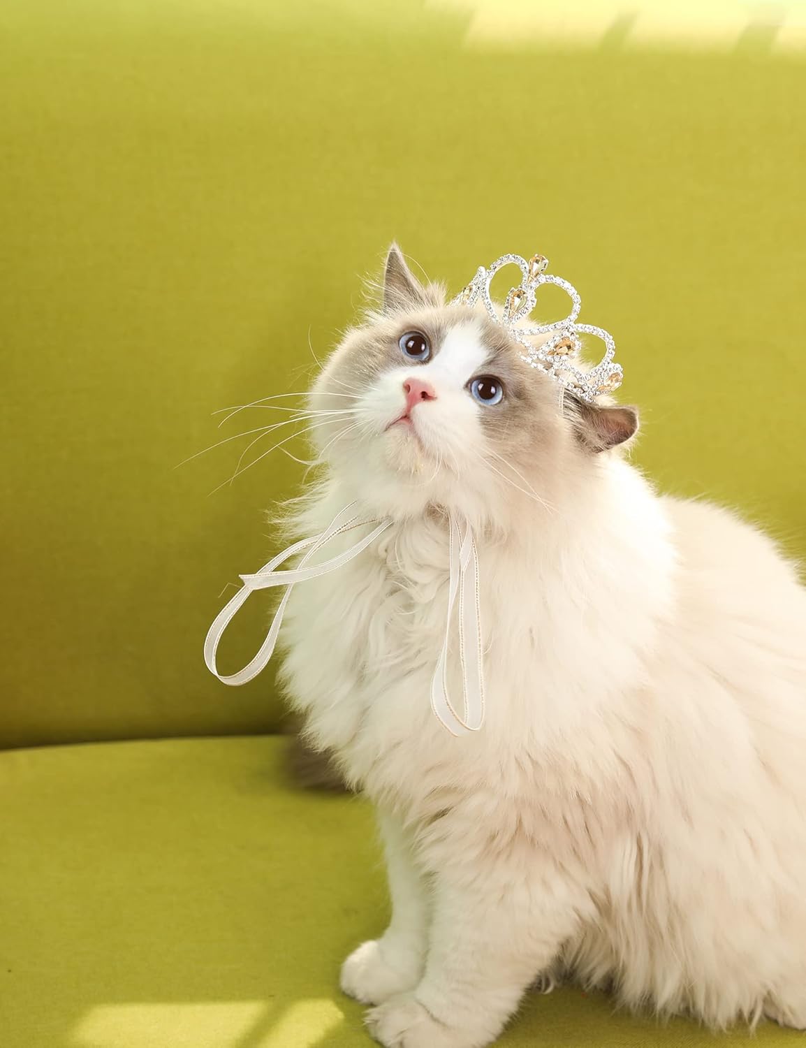 Disfraces colorida para perros y gatos talla M