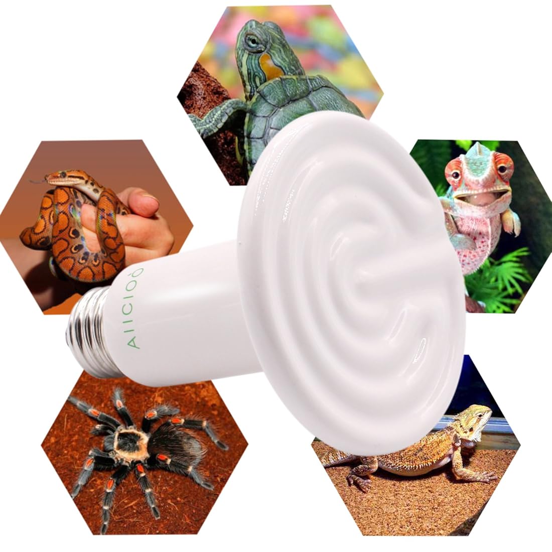 Bombilla de la lámpara de calor de reptiles