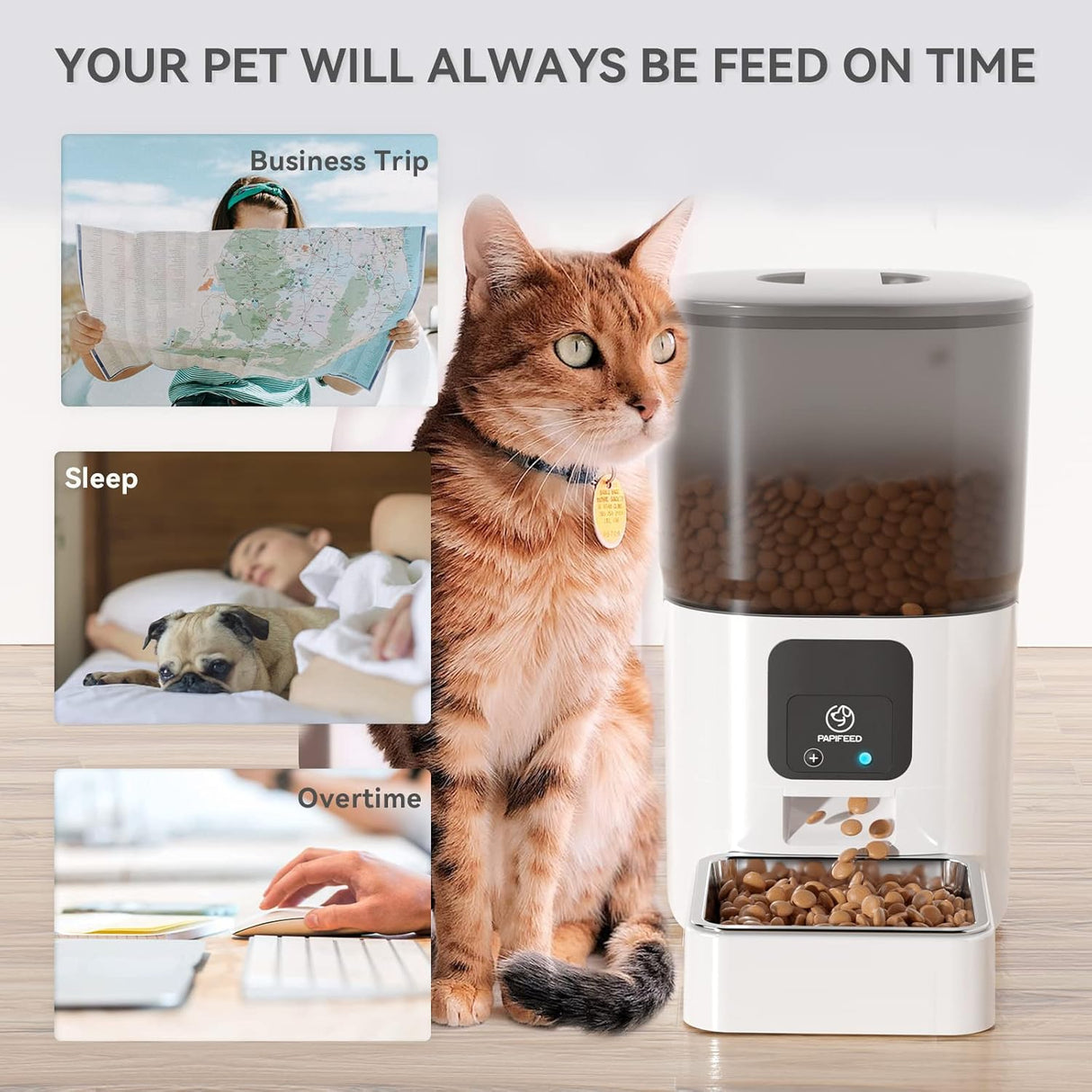 Comedero automático para gatos con control de aplicación