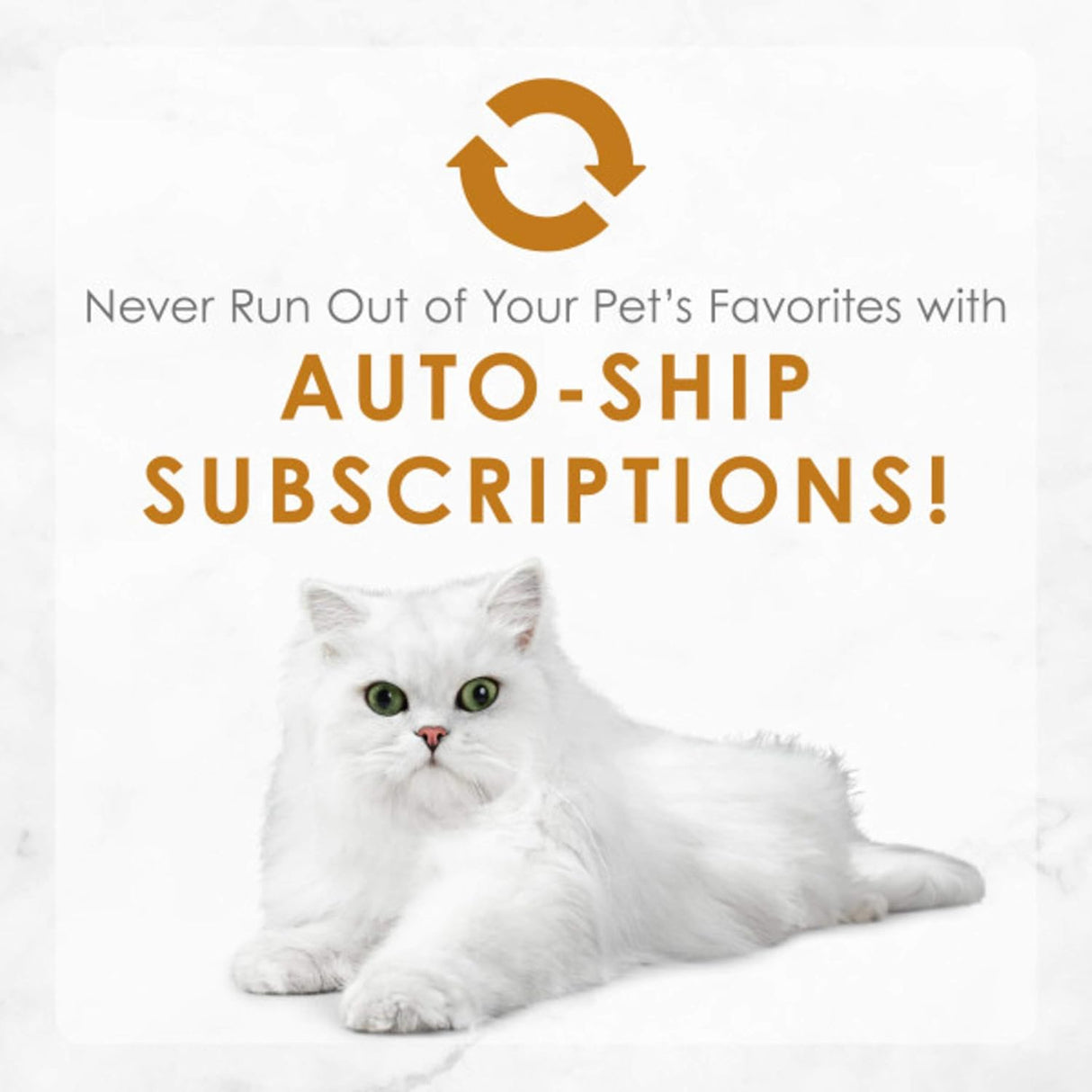 Alimento húmedo para gatos enlatado para adultos 24 latas