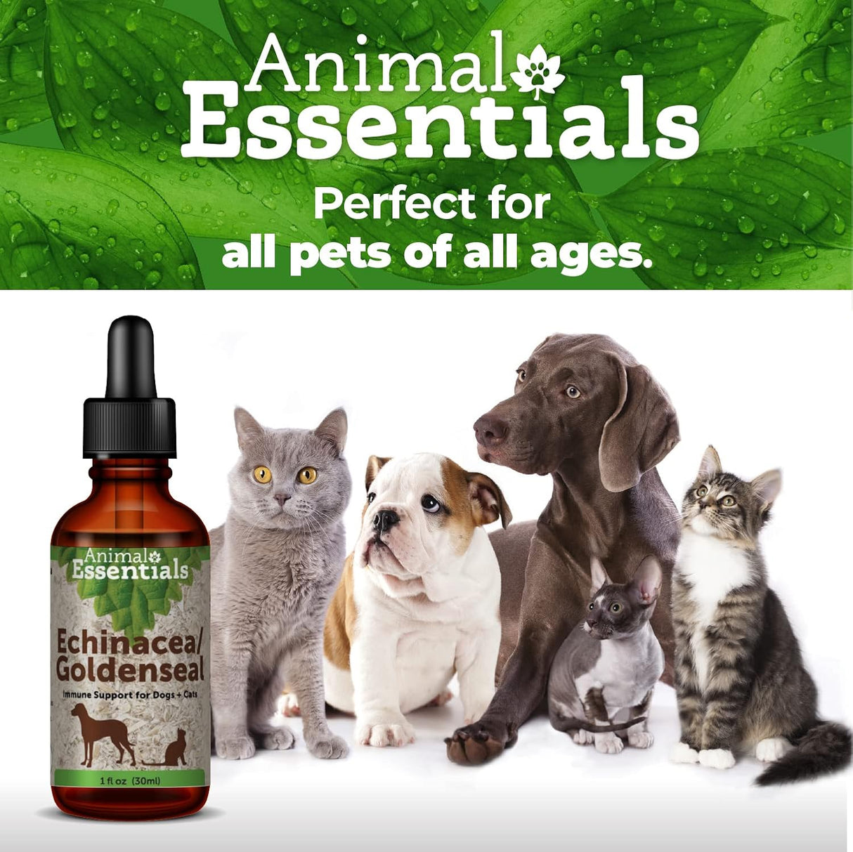 Suplemento Animal Essentials Echinacea Goldenseal 100% orgác