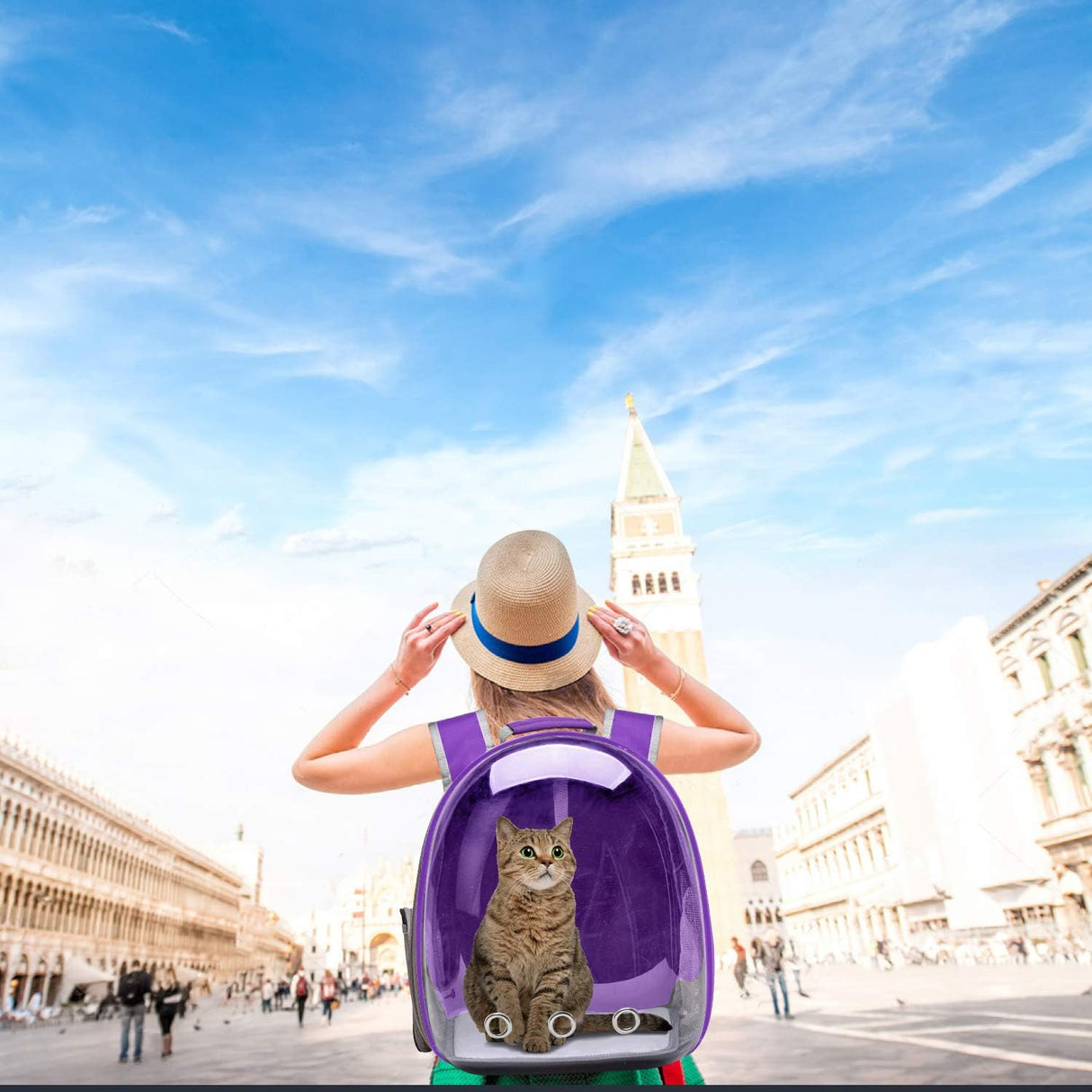 Mochila con capsula espacial para transportar gatos lila