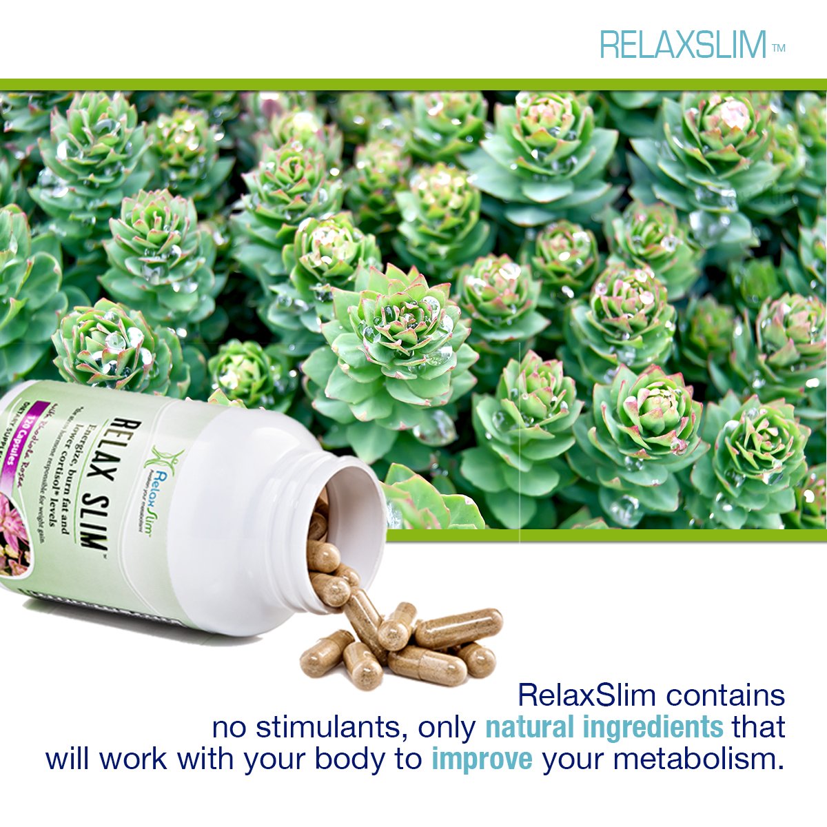 Suplemento para el metabolismo lento