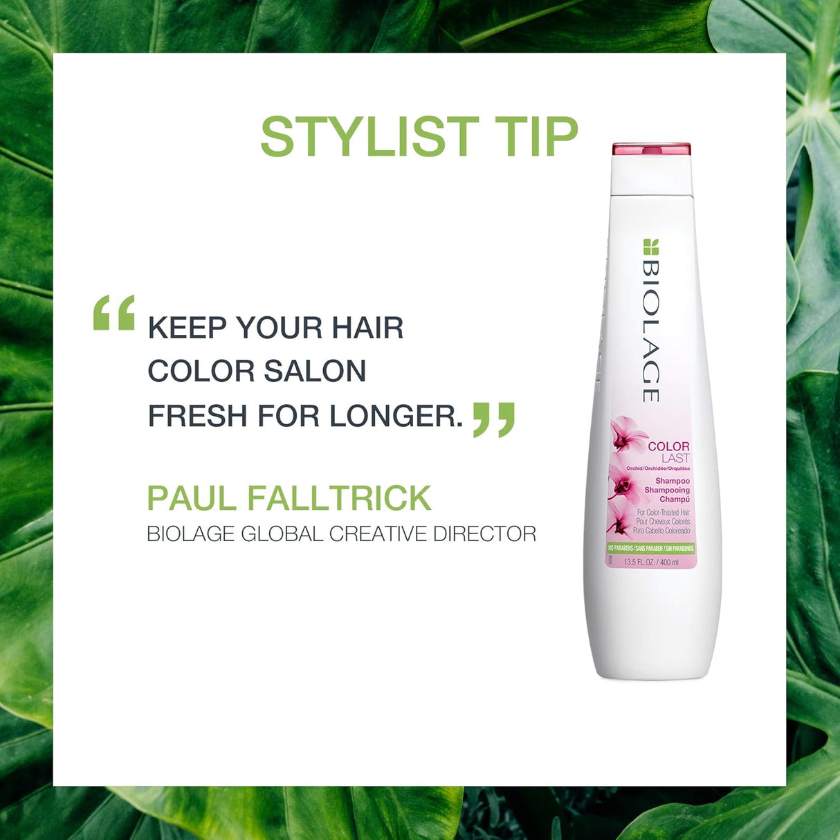 Shampoos y Acondicionadores Para cabello tratado con color