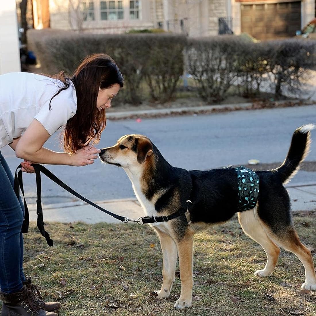 Leekalos Pañales para perros machos de alta absorción