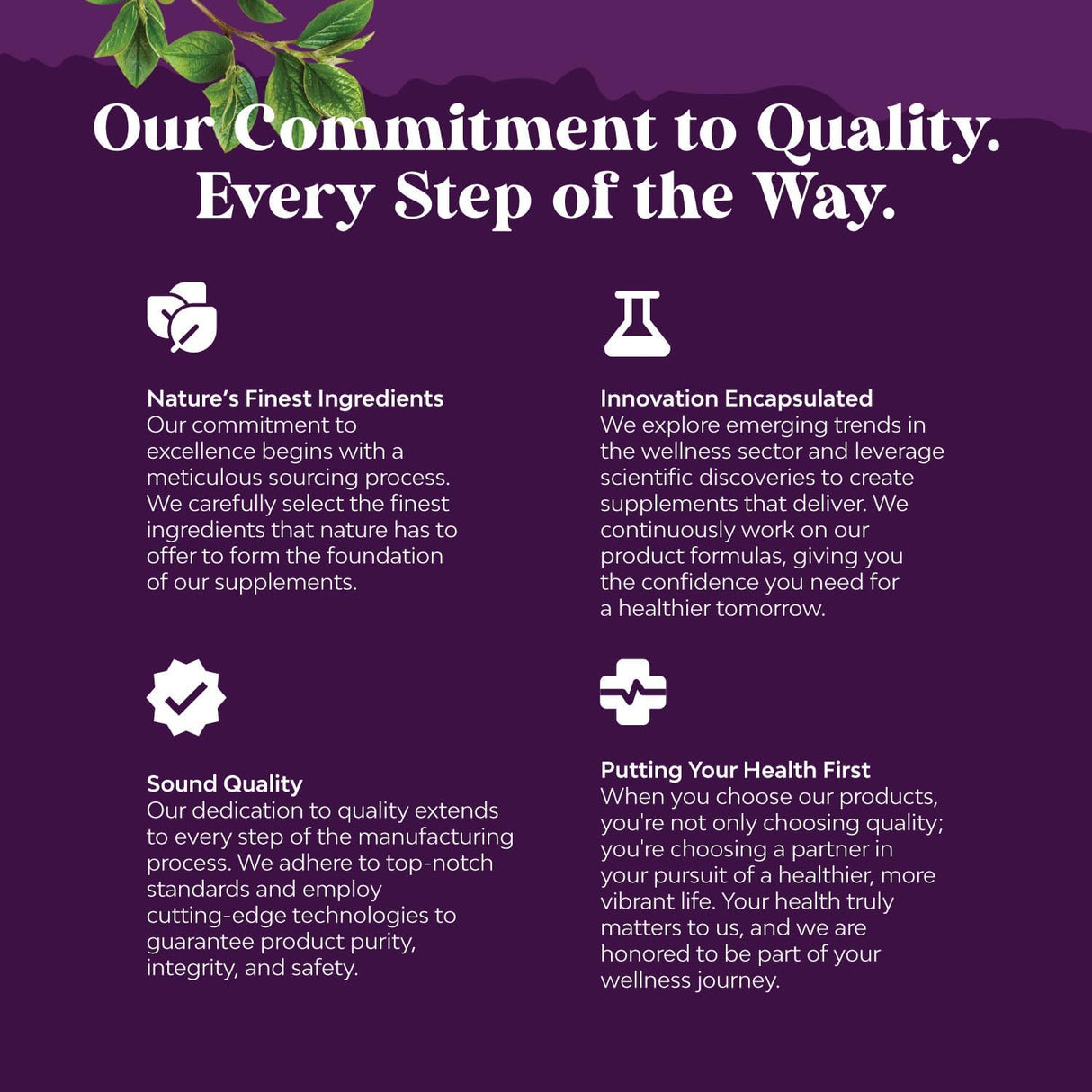 Suplemento gomitas de hierro suave para mujeres y hombres