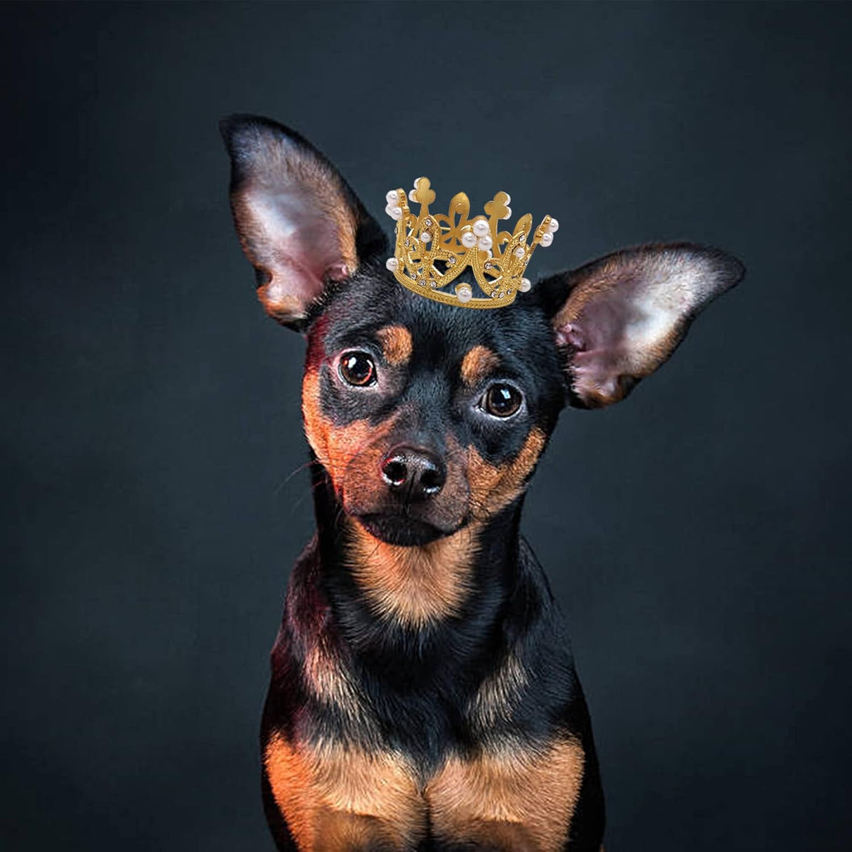 Disfraces 2 piezas de corona para perros pequeños talla S