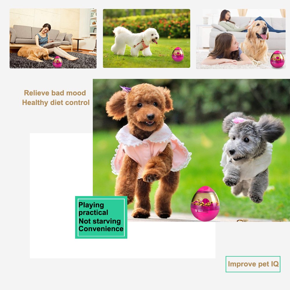 Juguete para mascota - Bola de tratamiento