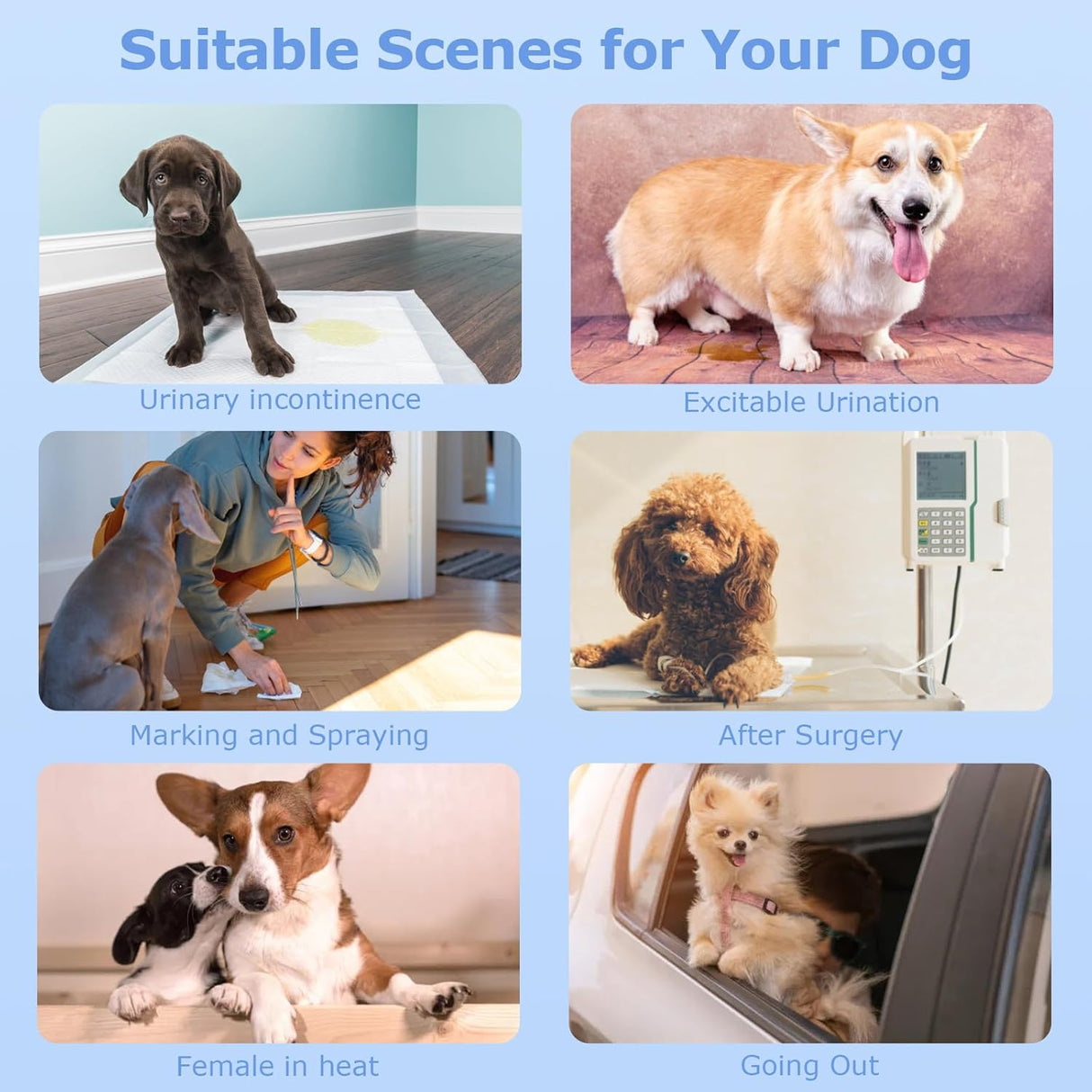 Pañales desechables perras cintura elástica para cachorros