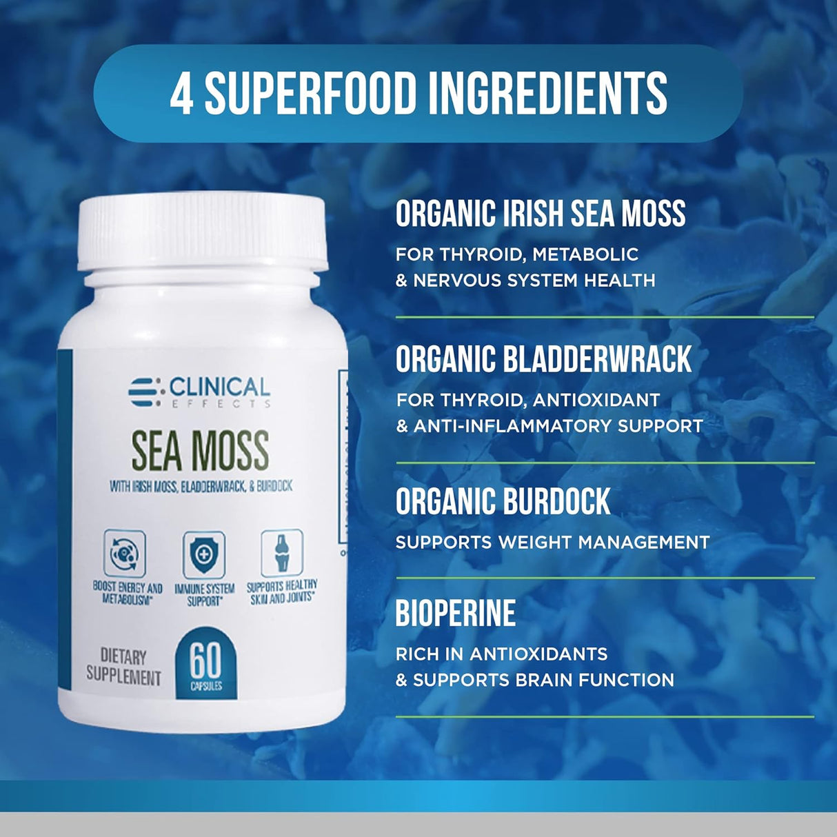 Sea Moss Orgánico Irish con Bladderwrack, Burdock y Bioperine - 60 caps