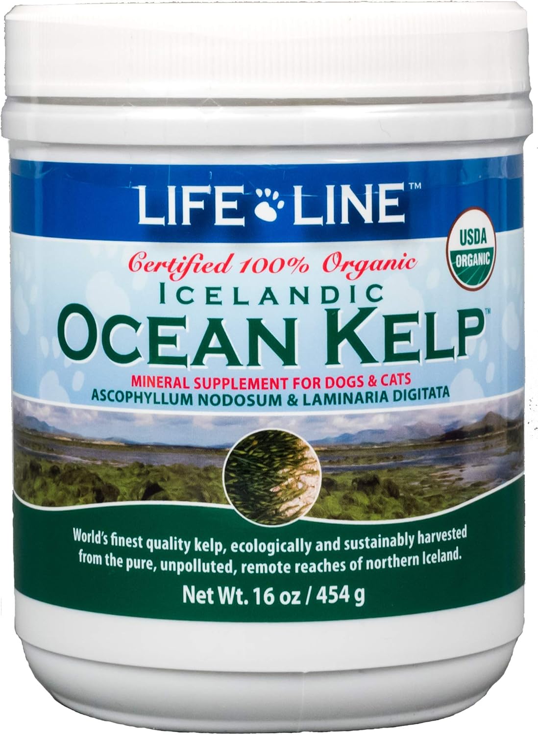 Vitaminas Suplemento orgánico en polvo de algas oceánicas