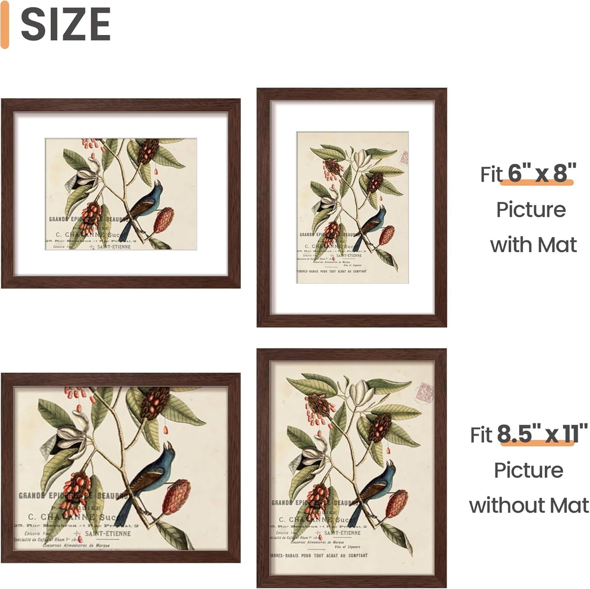 Marco de fotos 8.5x11, con o sin paspartú, para pared