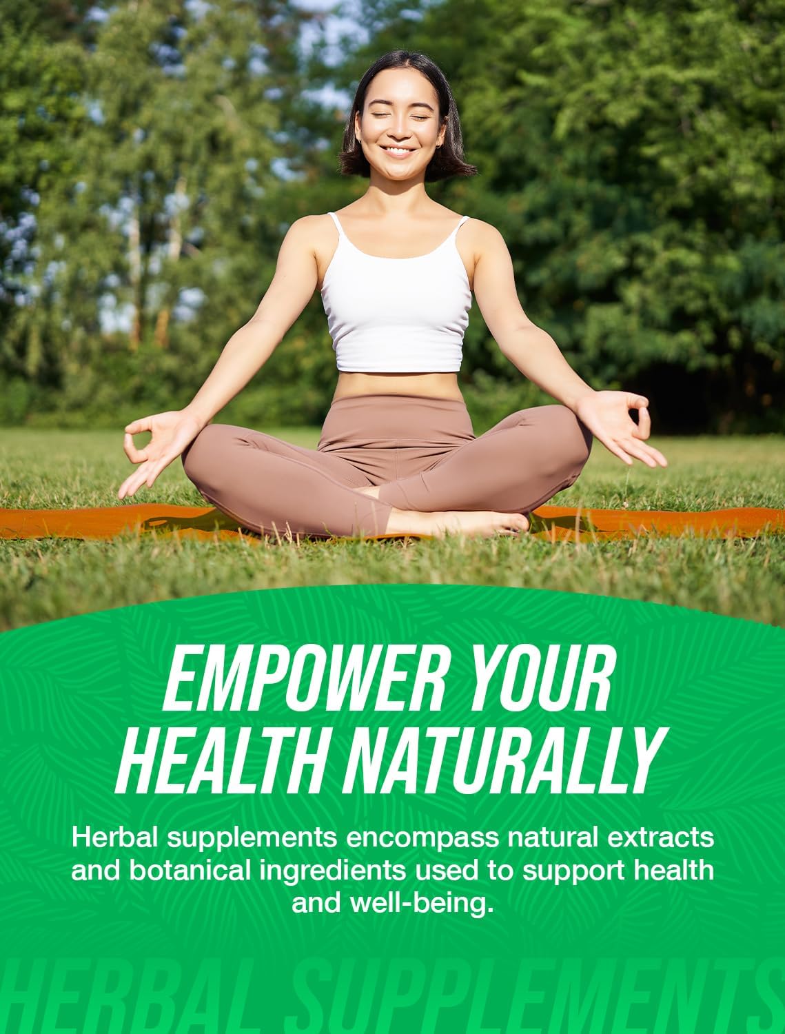 Extracto de Jengibre en Polvo, Suplemento Herbal, 500mg