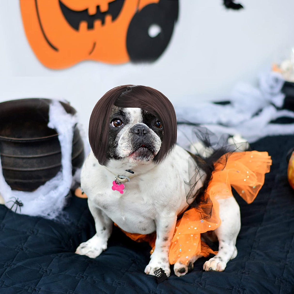 Cobee Divertida peluca de cosplay para perros y gatos, peluca ajustable para mascotas, disfraz divertido para mascotas, disfraz para perros pequeños, medianos y grandes, decoraciones de disfraces para Halloween, Navidad, fiestas, festivales