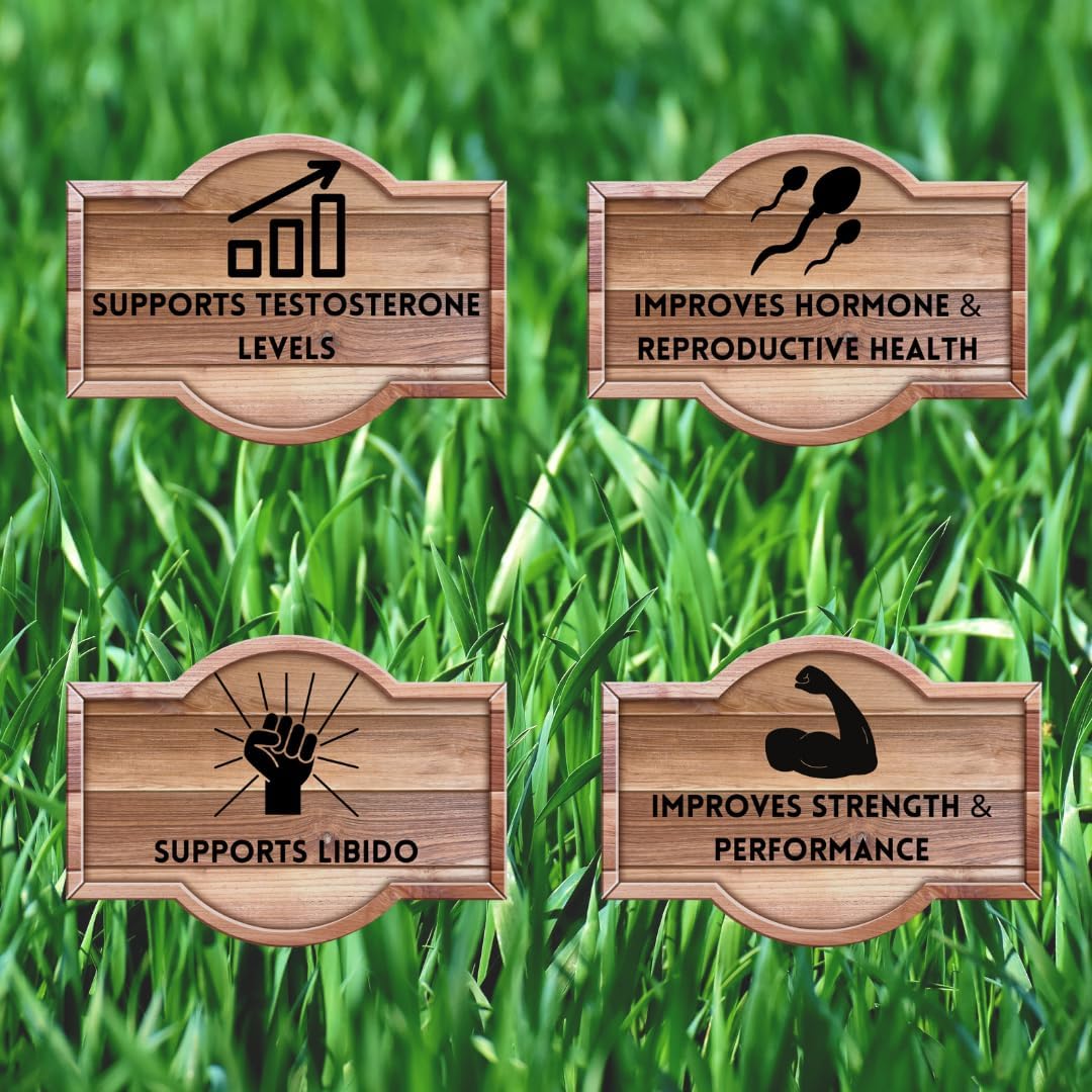 Testículos de carne alimentada con pasto apoya la vitalidad