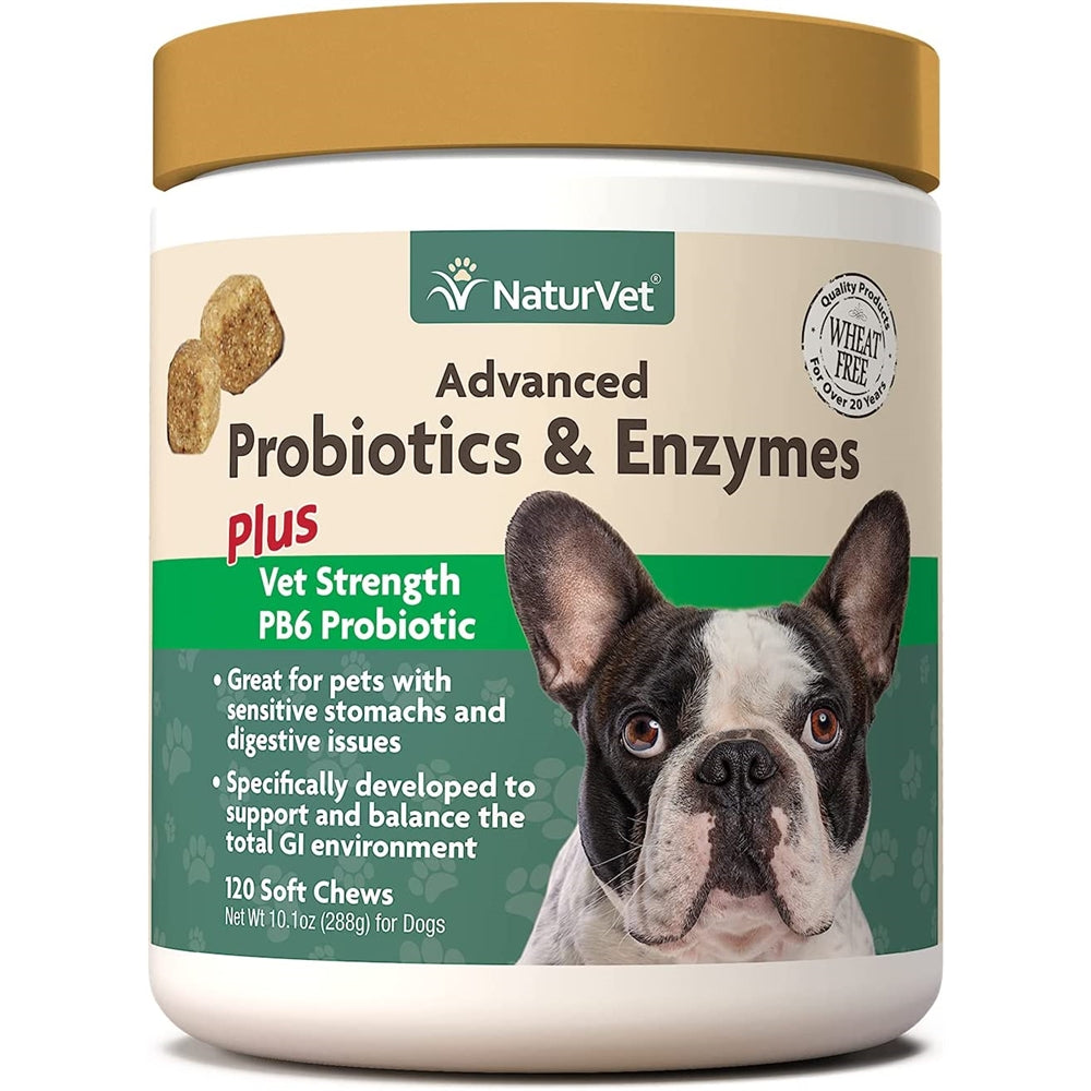 Suplemento avanzado de probióticos y enzimas para perros