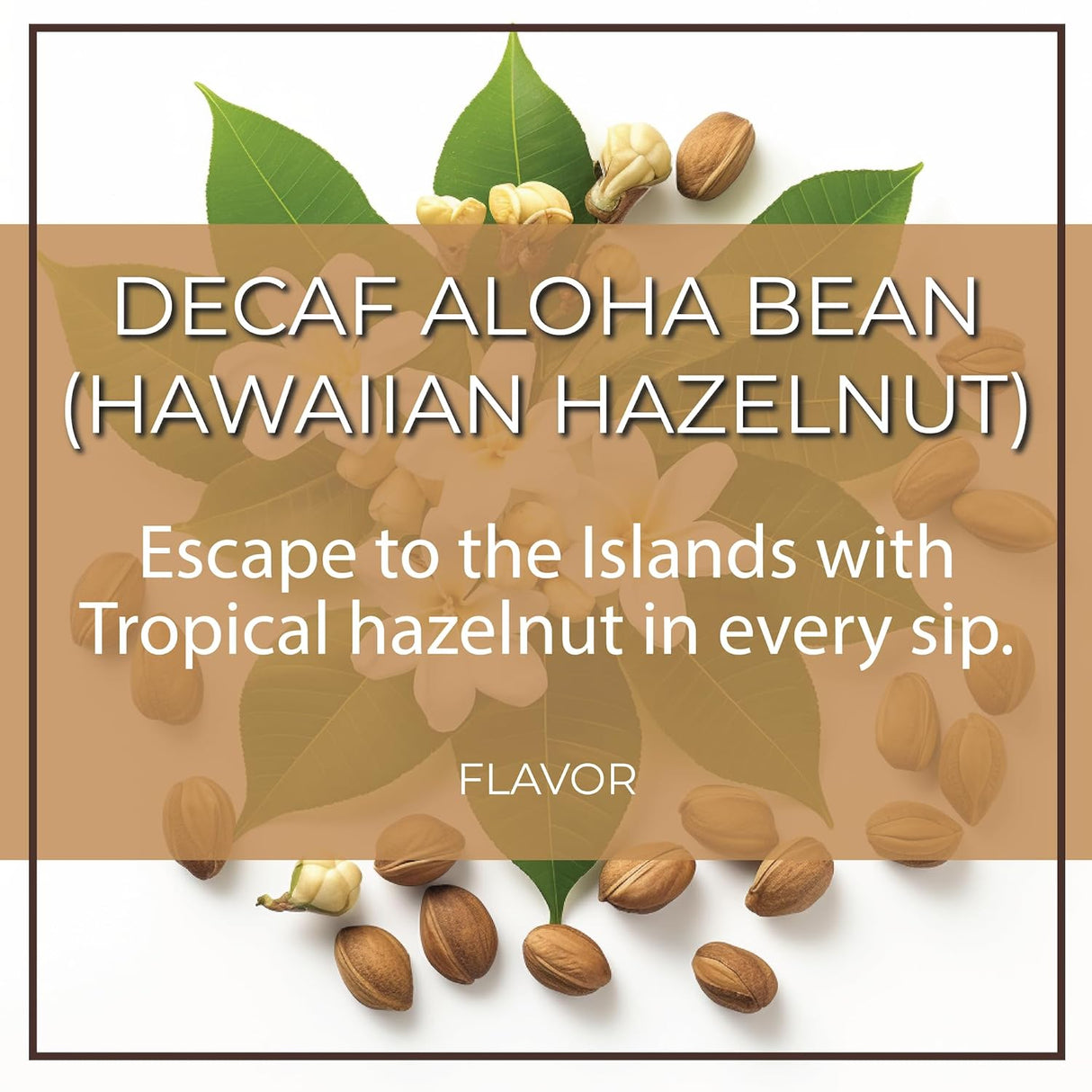 Café Molido Orgánico Descafeinado Aloha Bean 16 oz, The Bean