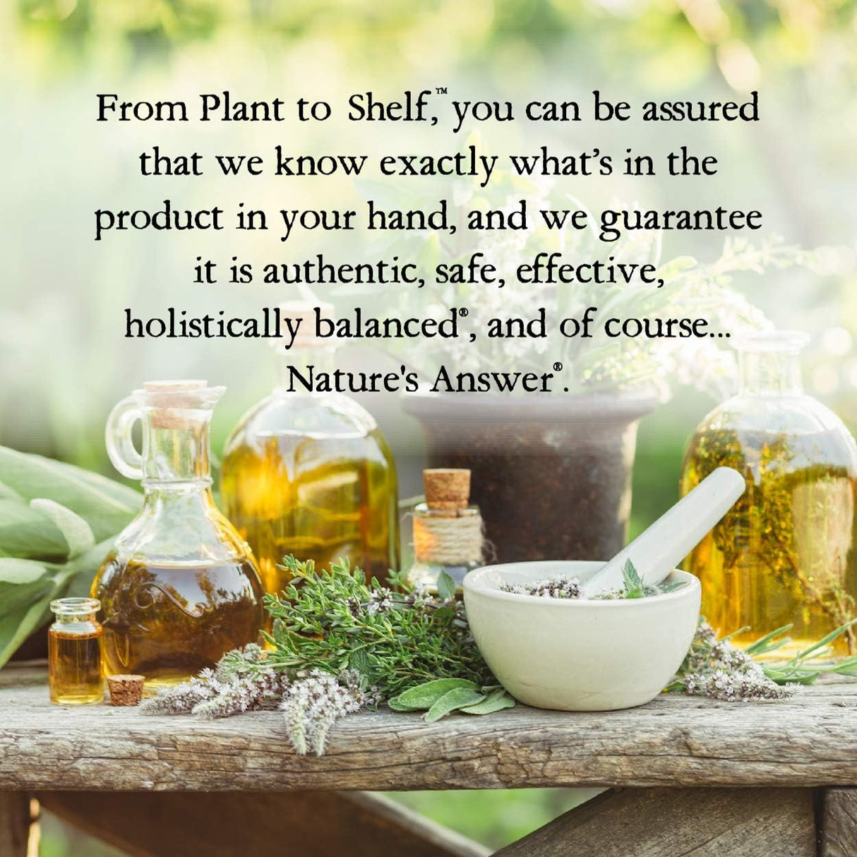 Suplemento en cápsulas de raíz de regaliz, Nature's Answer, 90 ct.