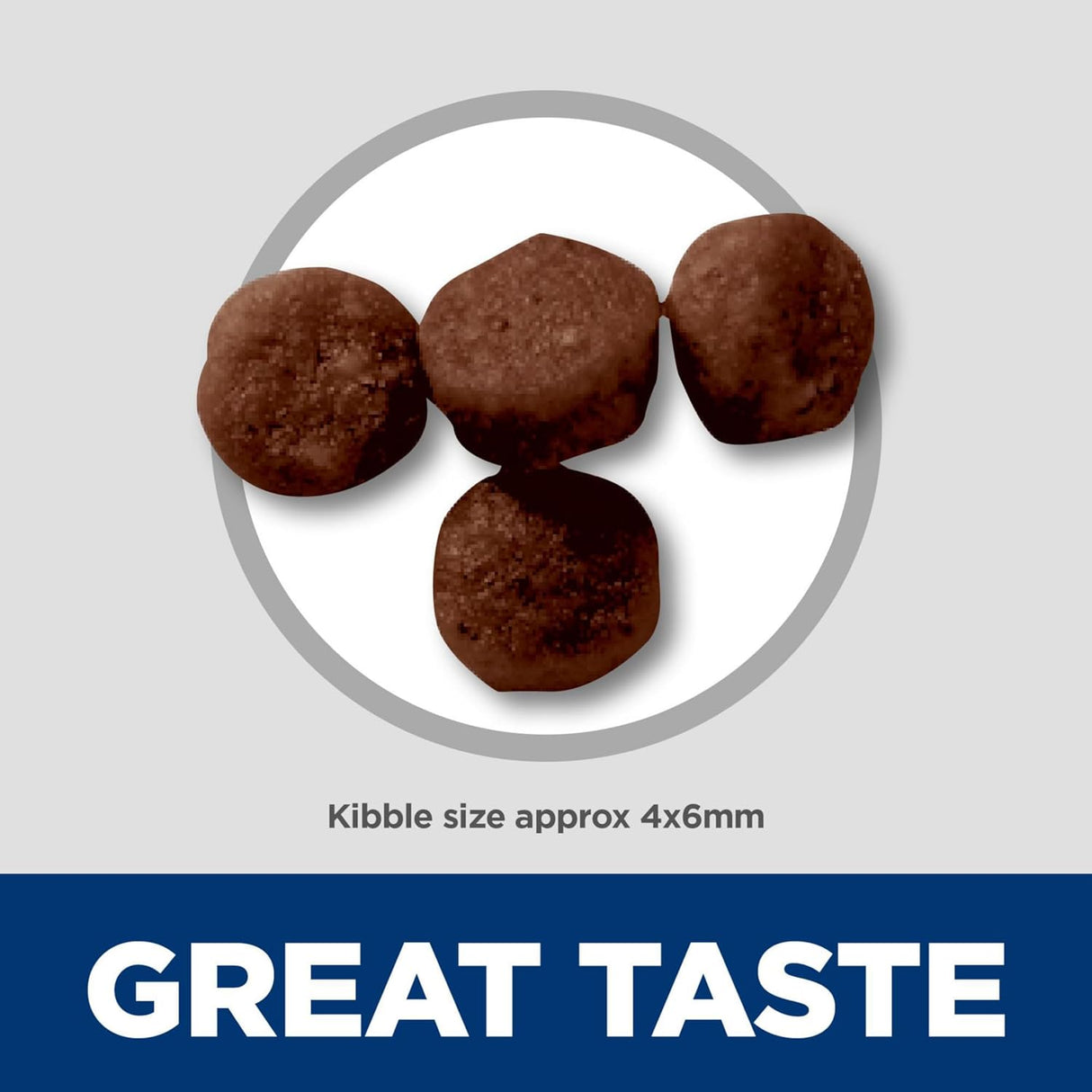 Hill's Pet Nutrition Science Diet Kitten Ocean Fish & Brown Rice Receta de alimento seco para gatos, bolsa de 3.5 libras