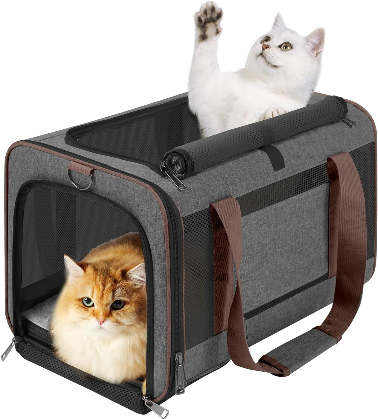 Transportín suave para perros y gatos | Marca: Pet Taxi | 25lbs