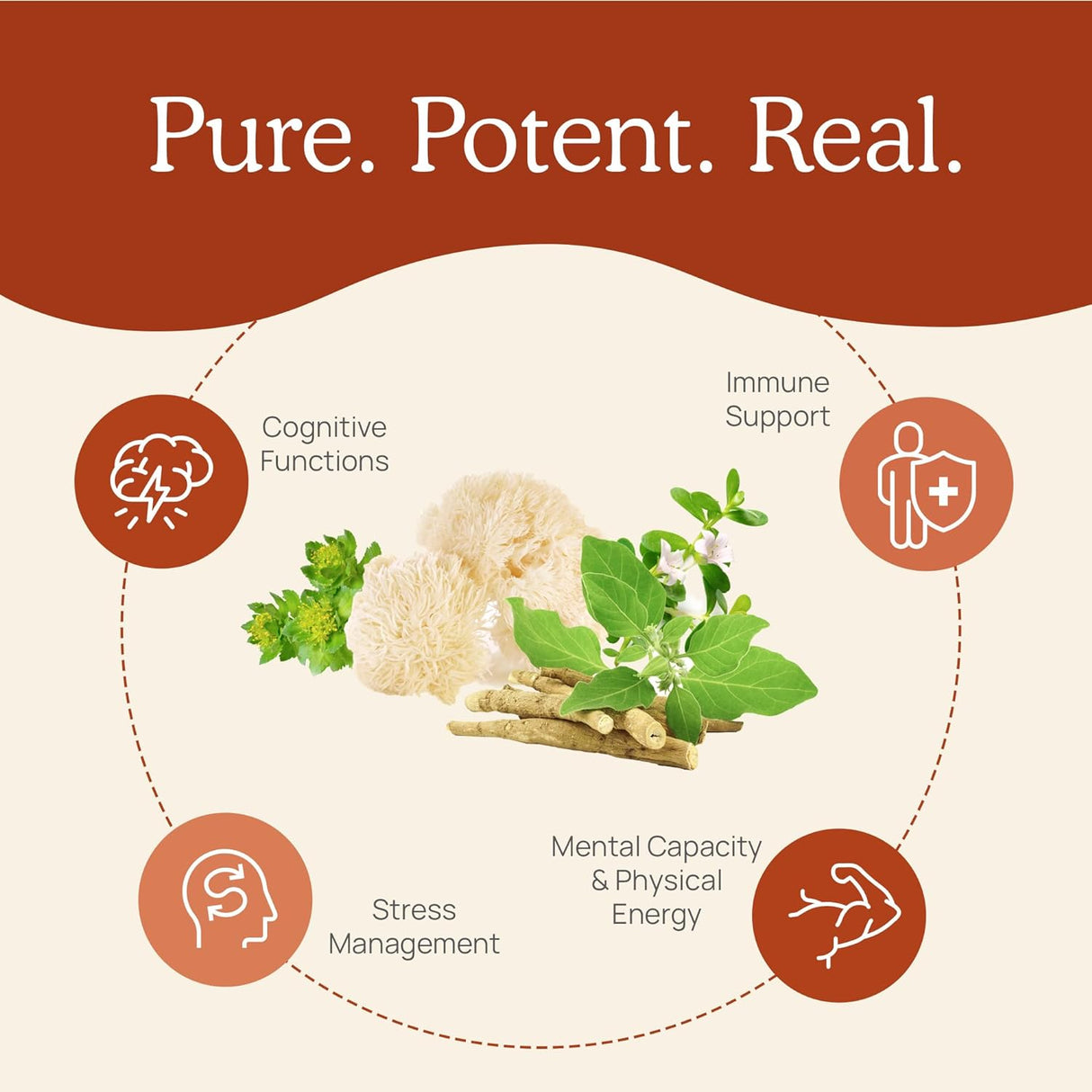 Cápsulas de Polvo de Hongos con Extracto de Ashwagandha KSM-66