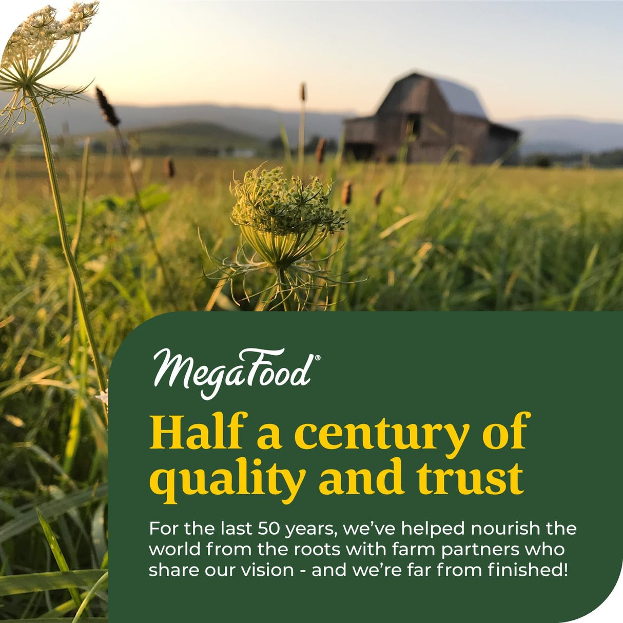 Suplemento de hierro líquido hombres y niños, vegano, 7.7oz