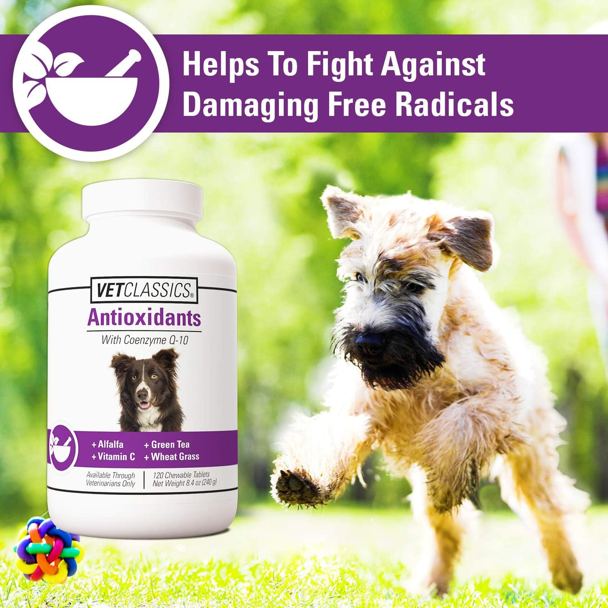 Vitaminas antioxidantes con Fórmula con Coenzima en tabletas