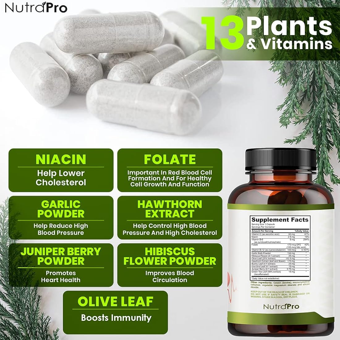 Suplemento de apoyo para la presión arterial para la salud