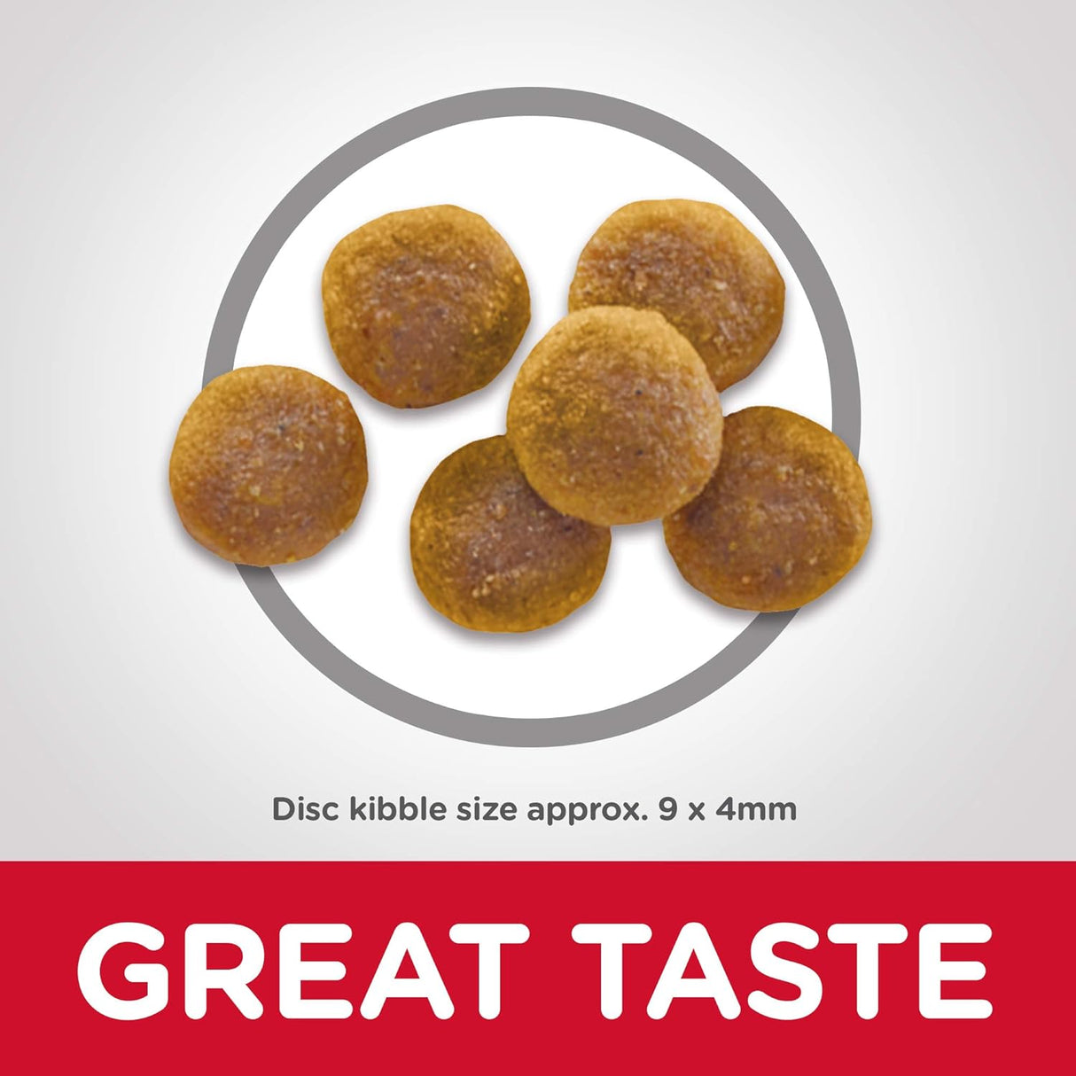 Alimento seco para gatos adultos, para un cuidado óptimo