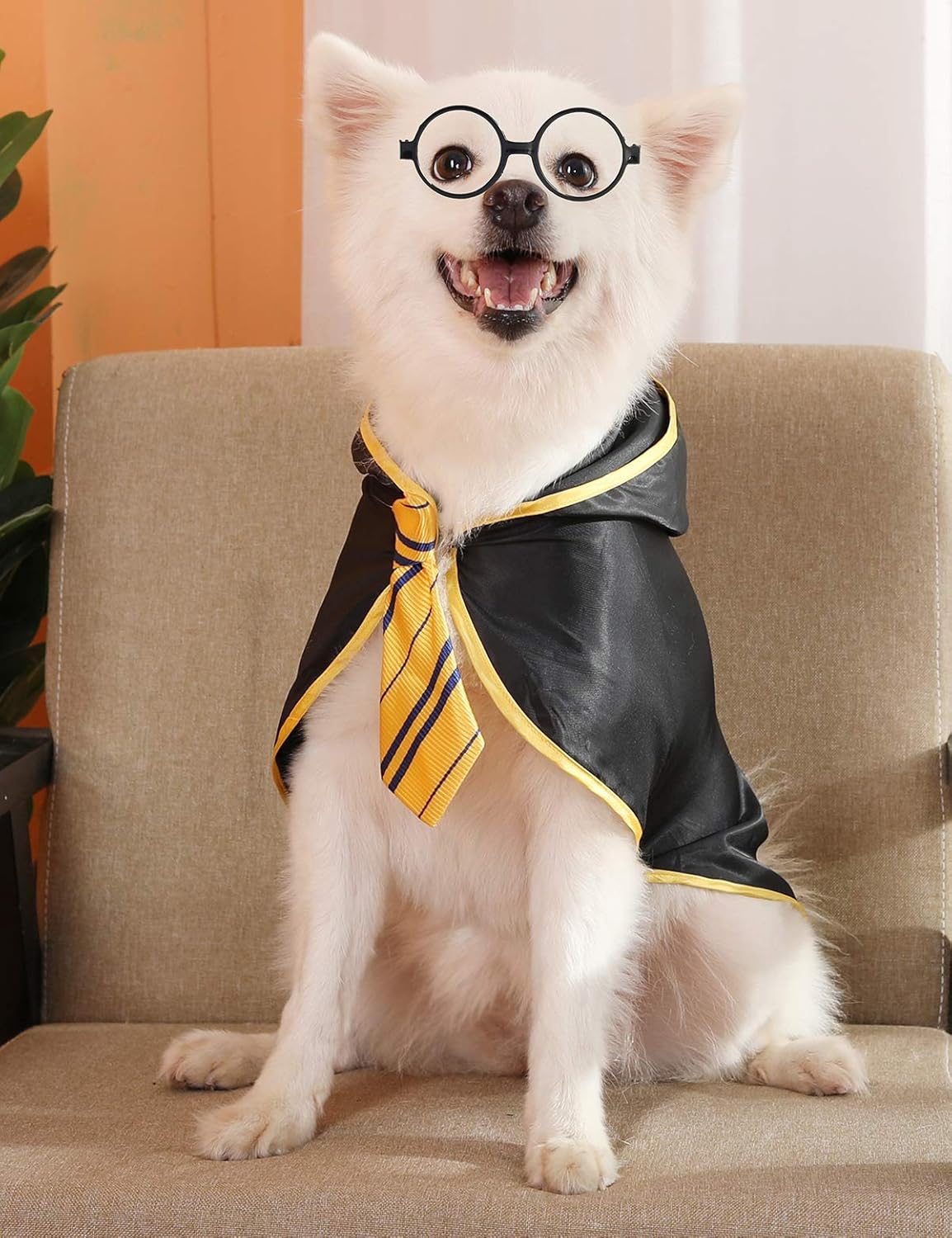 Disfraces con lentes para perros talla S