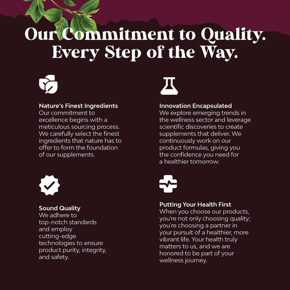 Suplemento Píldoras de arándano para limpieza y apoyo renal