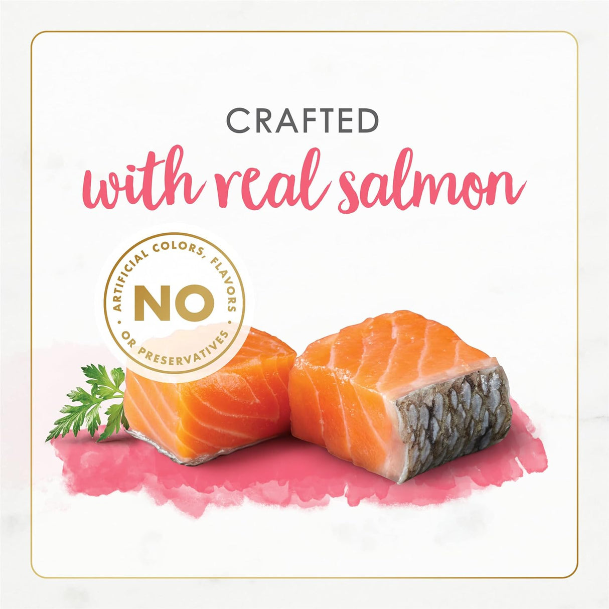 Alimento húmedo natural para gatitos sin granos