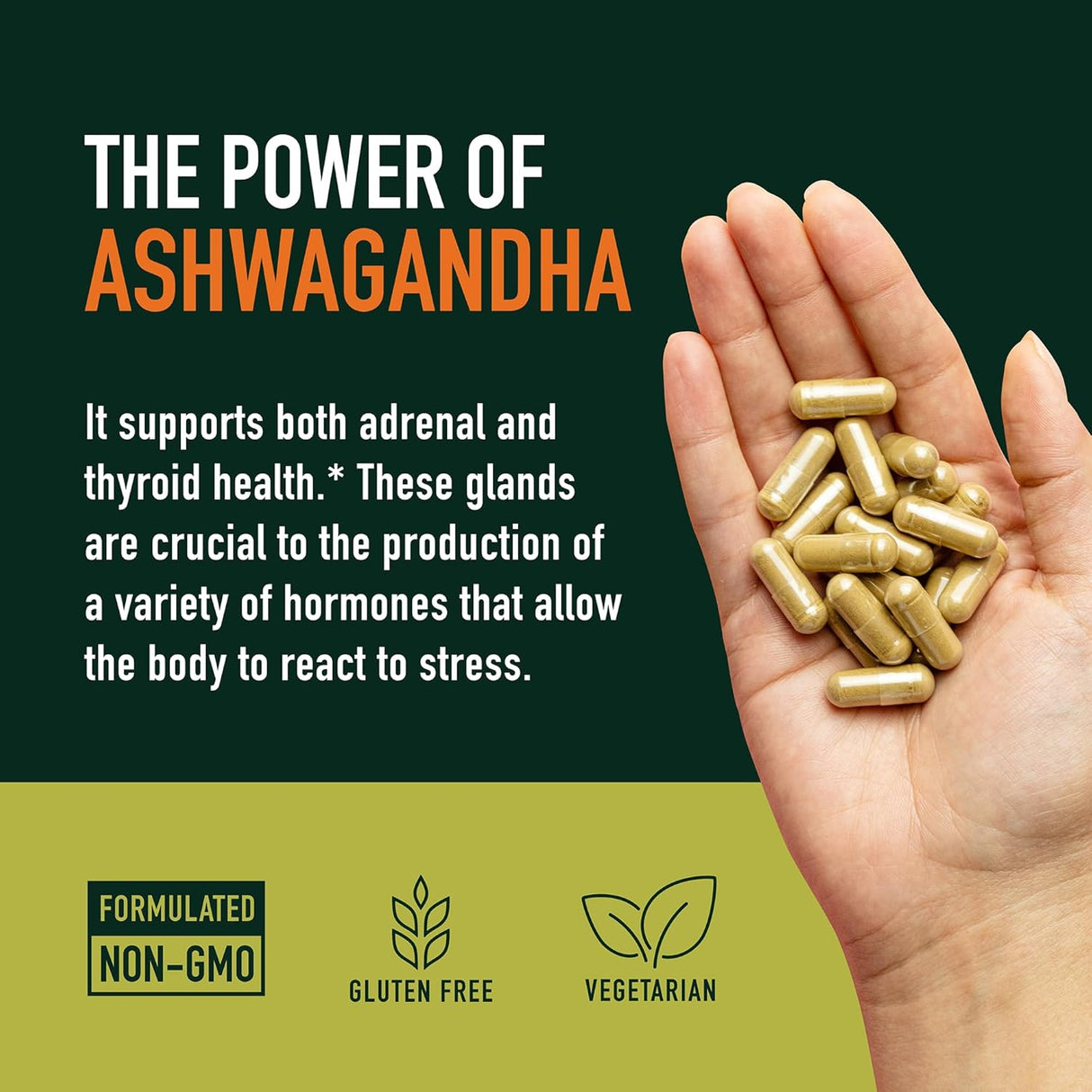 Suplemento Ashwagandha 1300mg, Adaptógeno, 120 cápsulas