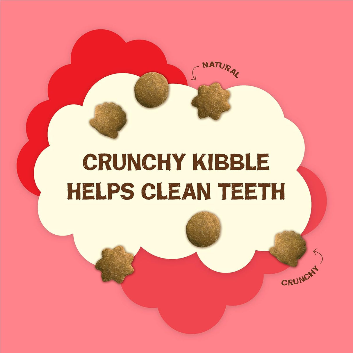 Golosinas naturales para gatos con salmón real y vitaminas